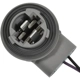 Purchase Top-Quality STANDARD - PRO SERIES - S2286 - Tail Light Socket pa2