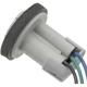Purchase Top-Quality STANDARD - PRO SERIES - S548 - Back Up Light Socket pa3