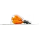Purchase Top-Quality Rear Turn Signal by PHILIPS - 3156NALLB2 pa7