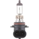 Purchase Top-Quality PHILIPS - 9006B1 - Turn Signal Light Bulb pa4