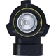 Purchase Top-Quality PHILIPS - 9006CVPS2 - Turn Signal Light Bulb pa6