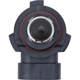 Purchase Top-Quality PHILIPS - 9006MDC1 - Turn Signal Light Bulb pa6