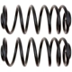 Purchase Top-Quality ACDELCO - 45H1157 - Rear Coil Spring Set pa1