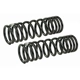 Purchase Top-Quality Rear Variable Rate Springs by MEVOTECH - SMS221V pa1