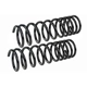 Purchase Top-Quality Rear Variable Rate Springs by MEVOTECH - SMS247V pa1