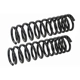 Purchase Top-Quality Rear Variable Rate Springs by MEVOTECH - SMS271V pa1