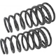 Purchase Top-Quality Rear Variable Rate Springs by MEVOTECH - SMS273V pa4