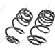 Purchase Top-Quality Rear Variable Rate Springs by MEVOTECH - SMS507V pa1