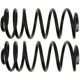 Purchase Top-Quality Rear Variable Rate Springs by MOOG - CC81373 pa4