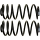 Purchase Top-Quality Rear Variable Rate Springs by MOOG - CC81373 pa5
