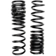 Purchase Top-Quality Rear Variable Rate Springs by MOOG - CC881 pa3