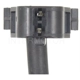 Purchase Top-Quality Rear Wheel ABS Sensor by BLUE STREAK (HYGRADE MOTOR) - ALS420 pa2