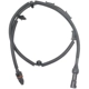 Purchase Top-Quality BWD AUTOMOTIVE  - ABS609  - ABS Wheel Speed Sensor pa1