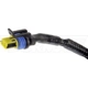 Purchase Top-Quality Rear Wheel ABS Sensor by DORMAN (HD SOLUTIONS) - 970-5605 pa2