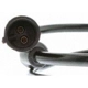 Purchase Top-Quality Rear Wheel ABS Sensor by VEMO - V10-72-1085 pa4