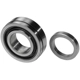 Purchase Top-Quality NATIONAL BEARINGS - RW509FR - Rear Driver Side Wheel Bearing pa1