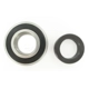 Purchase Top-Quality SKF - 88128R - Rear Wheel Bearing pa7