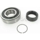 Purchase Top-Quality Rear Wheel Bearing by SKF - GRW186R pa2