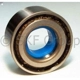 Purchase Top-Quality Rear Wheel Bearing by SKF - GRW190 pa1