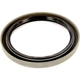 Purchase Top-Quality SKF - 19000 - Rear Wheel Seal pa9