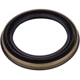 Purchase Top-Quality Rear Wheel Seal by SKF - 22013 pa6