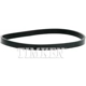 Purchase Top-Quality Rear Wheel Seal by TIMKEN - SL260022 pa9