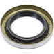 Purchase Top-Quality Rear Wheel Seal by WJB - WS473823 pa1