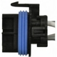 Purchase Top-Quality Rear Window Defogger Connector by BLUE STREAK (HYGRADE MOTOR) - S803 pa39