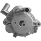 Purchase Top-Quality Remanufactured Air Pump by CARDONE INDUSTRIES - 32-617 pa4