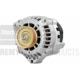 Purchase Top-Quality Remanufactured Alternator by REMY - 21025 pa1