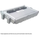 Purchase Top-Quality Remanufactured Electronic Control Unit by CARDONE INDUSTRIES - 79-0106V pa1