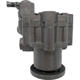 Purchase Top-Quality MAVAL - 96899M - Power Steering Pump pa3