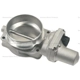 Purchase Top-Quality Remanufactured Throttle Body by BLUE STREAK (HYGRADE MOTOR) - S20002 pa1