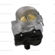 Purchase Top-Quality Remanufactured Throttle Body by BLUE STREAK (HYGRADE MOTOR) - S20006 pa8