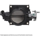 Purchase Top-Quality Remanufactured Throttle Body by CARDONE INDUSTRIES - 67-6005 pa7