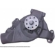Purchase Top-Quality Remanufactured Water Pump by CARDONE INDUSTRIES - 58-166 pa6