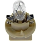 Purchase Top-Quality Replacement Bulb by DORMAN (OE SOLUTIONS) - 639-012 pa2