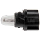 Purchase Top-Quality Replacement Bulb by DORMAN (OE SOLUTIONS) - 639-042 pa4
