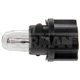 Purchase Top-Quality Replacement Bulb by DORMAN (OE SOLUTIONS) - 639-042 pa5
