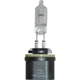 Purchase Top-Quality Replacement Bulb by HELLA - 885 pa1