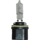 Purchase Top-Quality Replacement Bulb by HELLA - 892 pa1