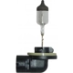 Purchase Top-Quality Replacement Bulb by HELLA - 898 pa1