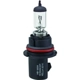 Purchase Top-Quality Replacement Bulb by HELLA - 9004 pa1