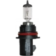 Purchase Top-Quality Replacement Bulb by HELLA - 9004LL pa1