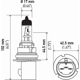Purchase Top-Quality Replacement Bulb by HELLA - 9007-100/80W pa2