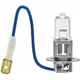 Purchase Top-Quality Replacement Bulb by HELLA - H3-100W pa2