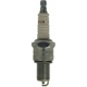 Purchase Top-Quality Resistor Copper Plug (Pack of 24) by CHAMPION SPARK PLUG - 415S pa4