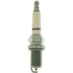 Purchase Top-Quality Resistor Copper Plug (Pack of 24) by CHAMPION SPARK PLUG - 431S pa2