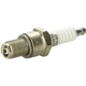 Purchase Top-Quality Resistor Spark Plug by DENSO - 4033 pa10