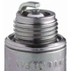 Purchase Top-Quality Resistor Spark Plug (Pack of 10) by NGK USA - 3522 pa3